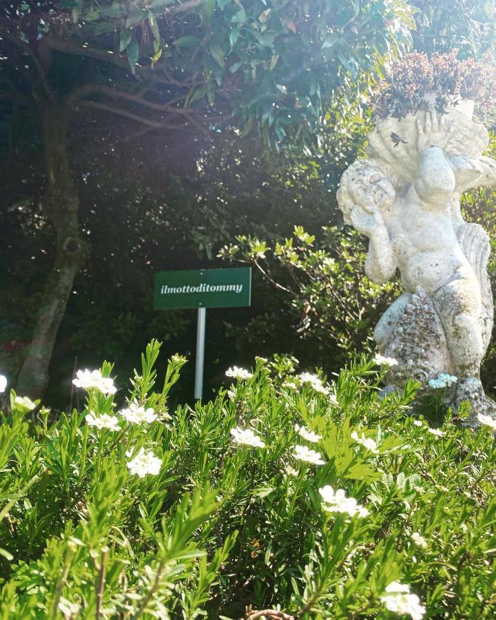 Il Motto Di Tommy Bed & Breakfast Castelveccana Екстериор снимка